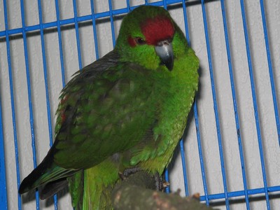 Mon Jungle ! 5 mois.jpg