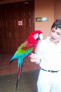 Resize of Tenerife30452.jpg