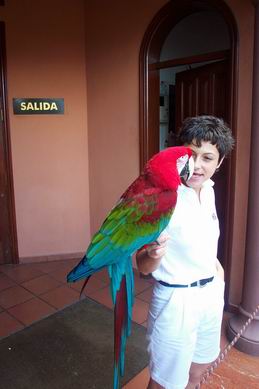 Resize of Tenerife30453.jpg