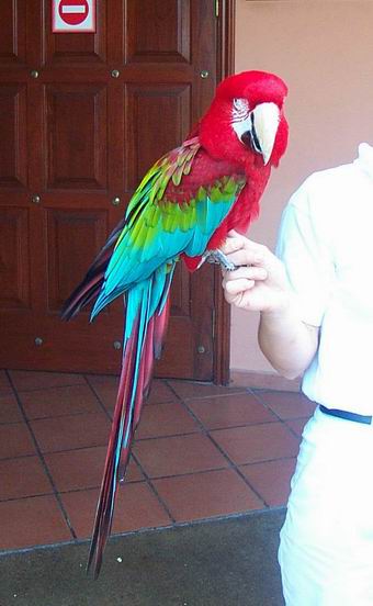 Resize of Tenerife30455.jpg