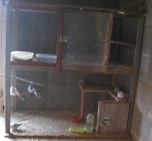 une de mes installations.jpg