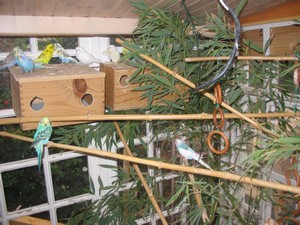 Classe Delphine 039.jpg