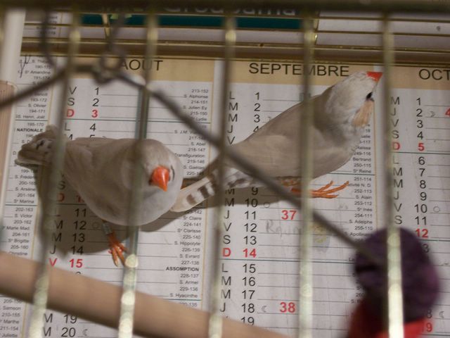 100_2050 [640x480].jpg