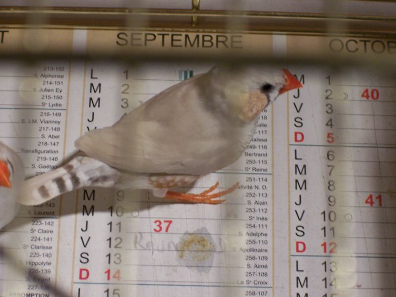 100_2049 [800x600].jpg