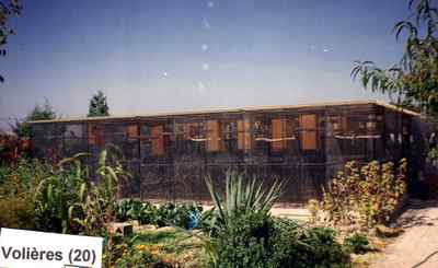 voliere (20box).jpg