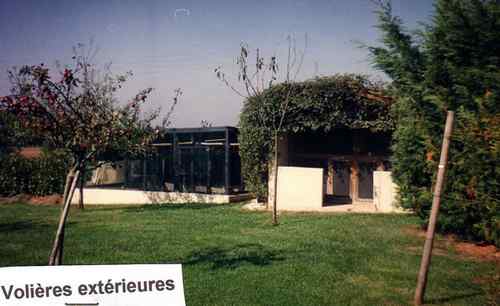 voliere (extÃ©rieur grd perruches).jpg