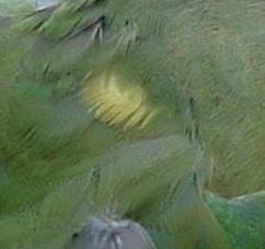 Copie de DSCF0041.JPG