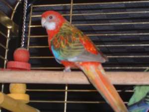 finette 12 12 06_redimensionne.jpg