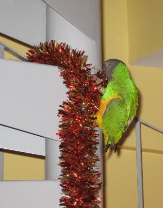 Copie de IMG_2005.jpg