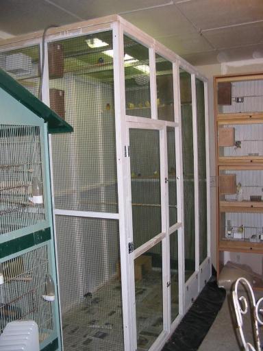 nouv  voliere reduit.jpg