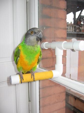 Copie de IMG_2018.jpg