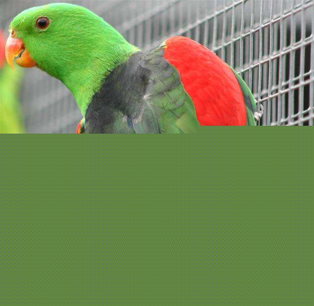 IMG_6352 (Small).jpg