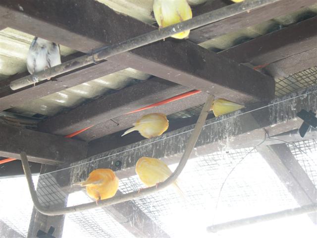 DSCN0113 (Small).JPG