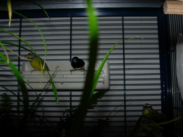 DSCN1659 (Small).JPG