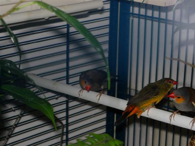 DSCN1689 (Small).JPG