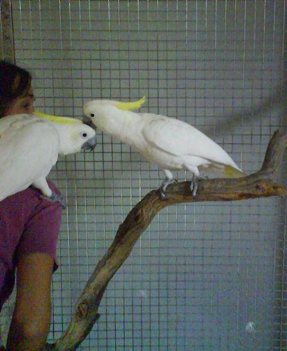 DSC00114 rÃ©duit.JPG