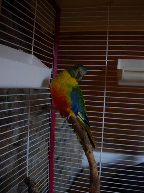 DSCN1743 (Small).JPG