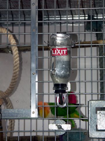 Lixit [640x480].jpg