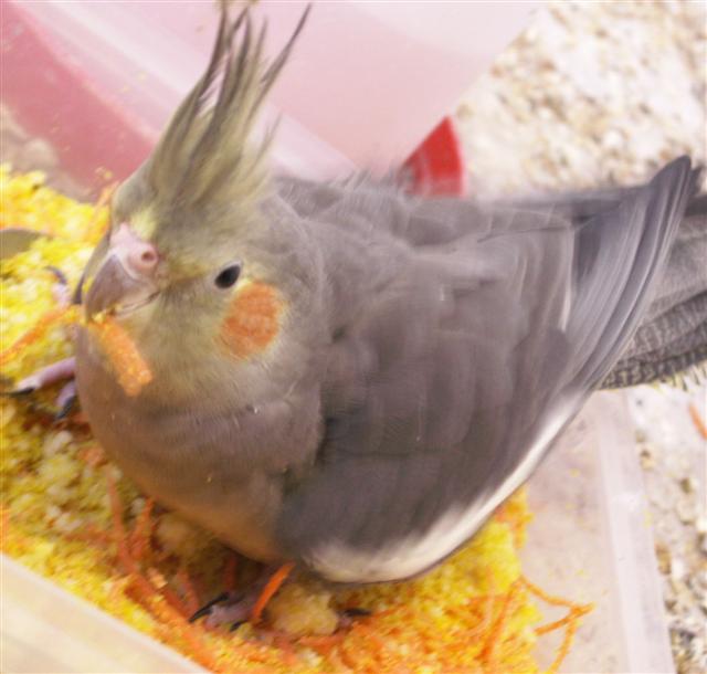 lili (11) (Small).jpg