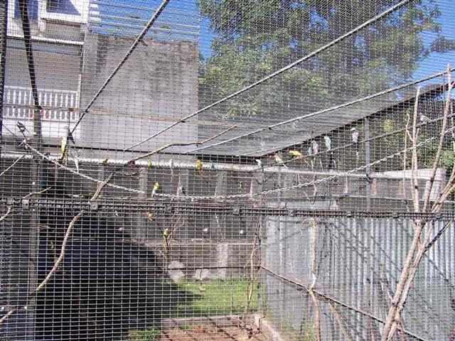 maison 400 005 (Small).jpg