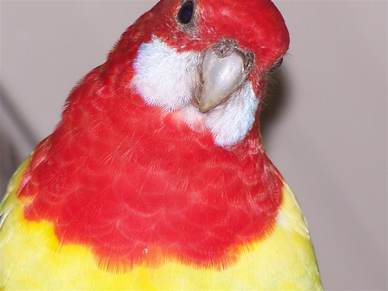 omnicolore_08 (Medium).jpg