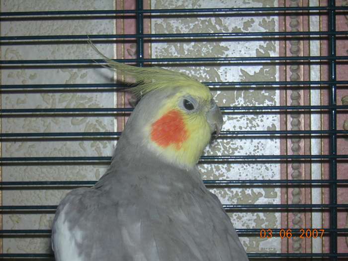 mai 2007 016-700.jpg