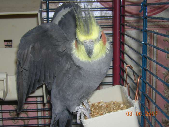 mai 2007 019-700.jpg