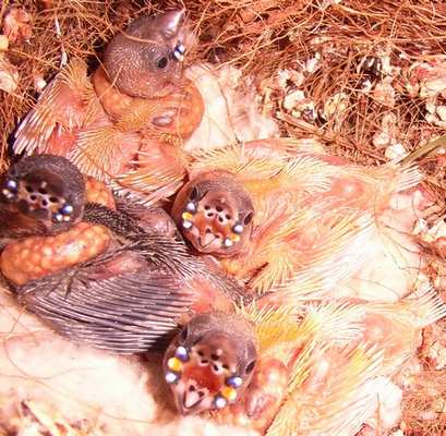 9 juin 2007- 14Ã¨ jour.jpg