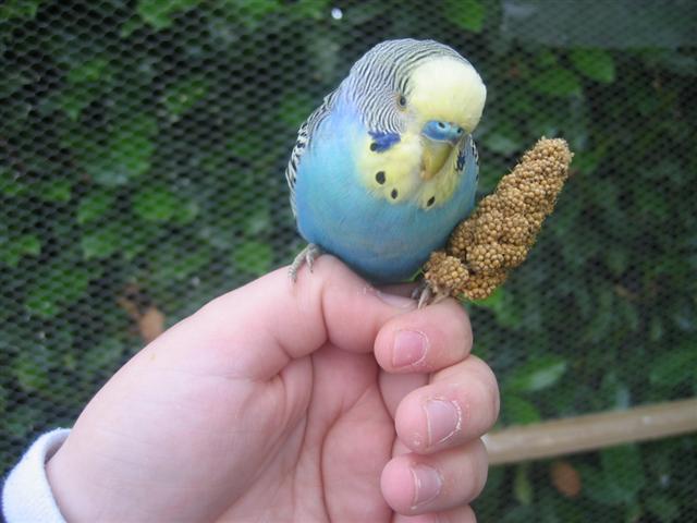 IMG_5848 (Small).JPG