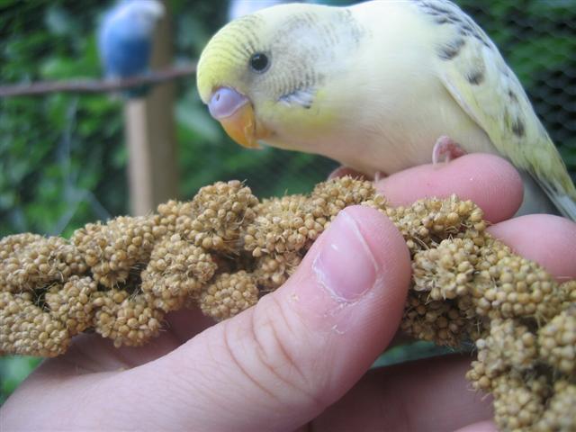 IMG_5851 (Small).JPG