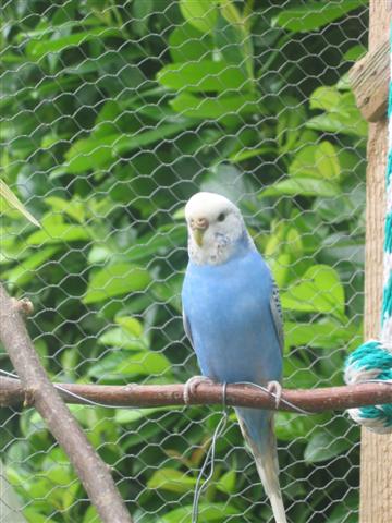 IMG_5912 (Small).JPG