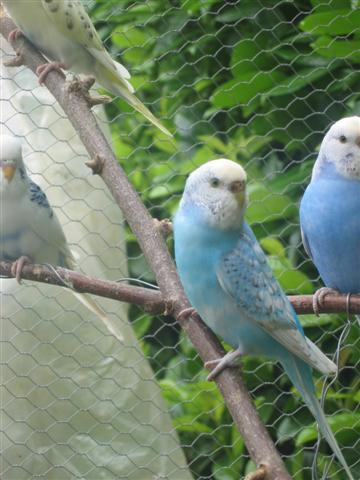 IMG_5911 (Small).JPG