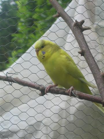 IMG_5908 (Small).JPG