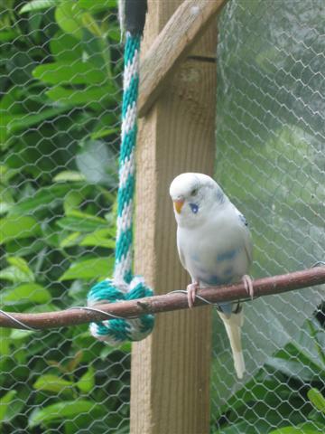 IMG_5913 (Small).JPG