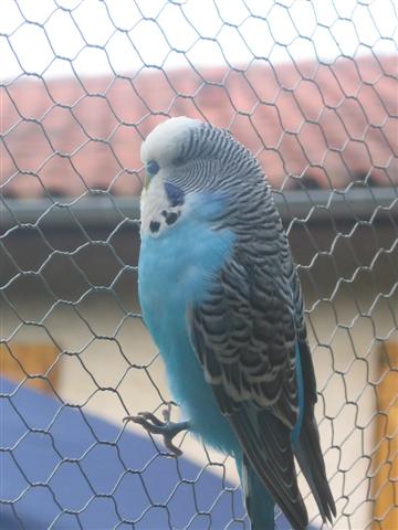 IMG_5917 (Small).JPG