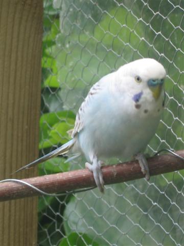 IMG_5916 (Small).JPG