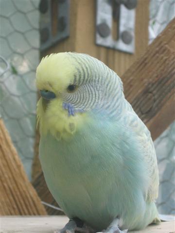 IMG_5920 (Small).JPG