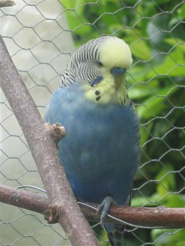 IMG_5919 (Small).JPG