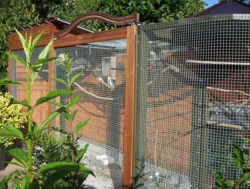 VoliÃ¨re vue de cotÃ© 3_.jpg