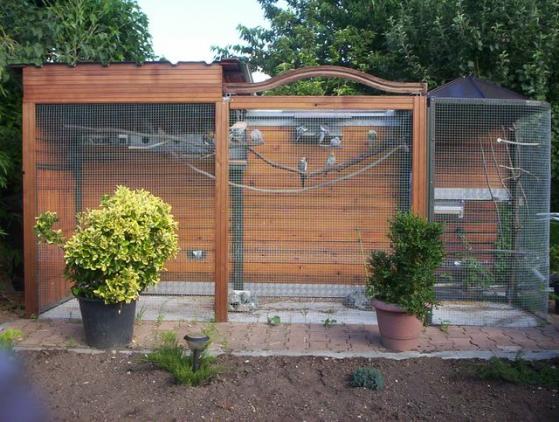 VoliÃ¨re vue de face.jpg