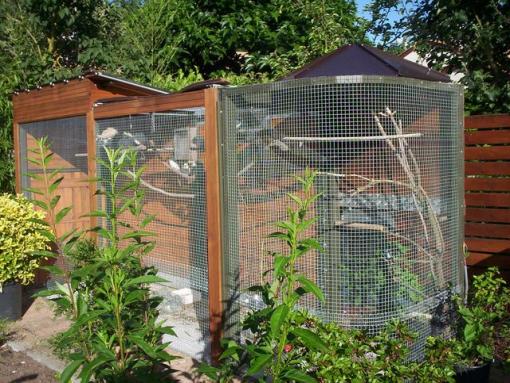 voliÃ¨re vue de cotÃ©.jpg