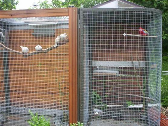 VoliÃ¨re partie droite ! .jpg