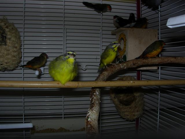 DSCN2428 (Small).JPG