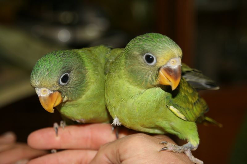 p'tit bebe 007-1.jpg