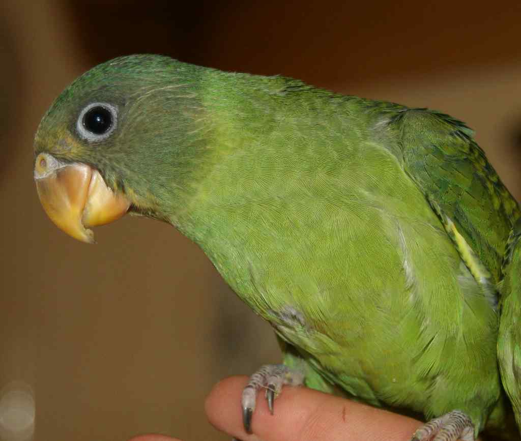 p'tit bebe 003-3.jpg