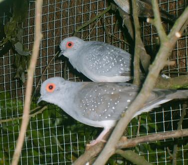 Photo 31511335465531.JPG