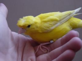 DSC08896 [320x200].JPG