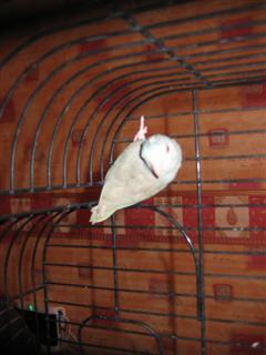 foto diverse 053 (WinCE).jpg