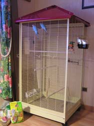 Voliere pioux 3nv.jpg