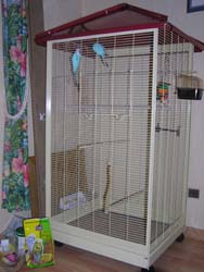 Voliere pioux 2nv.jpg